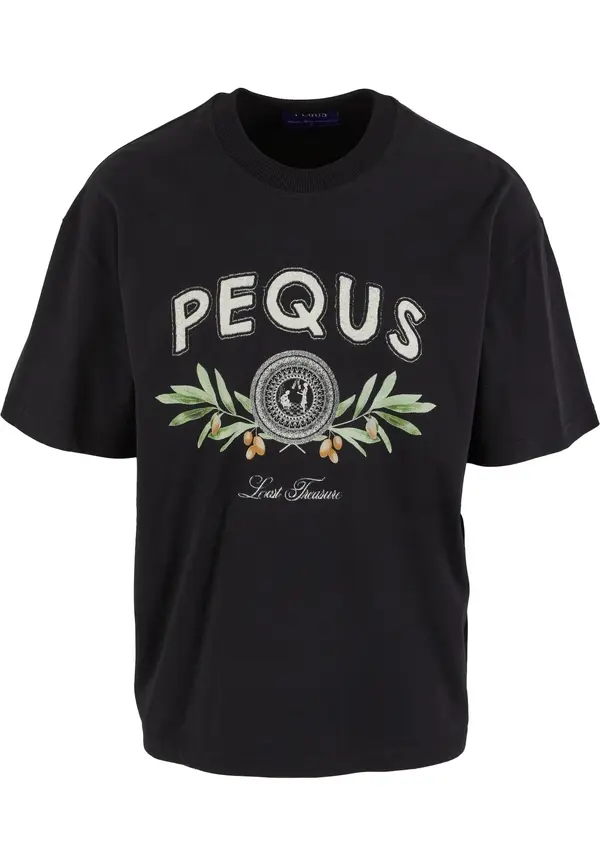 Pequs Pequs Majica 'Olive Coin Relic'  siva / oliva / črna / bela