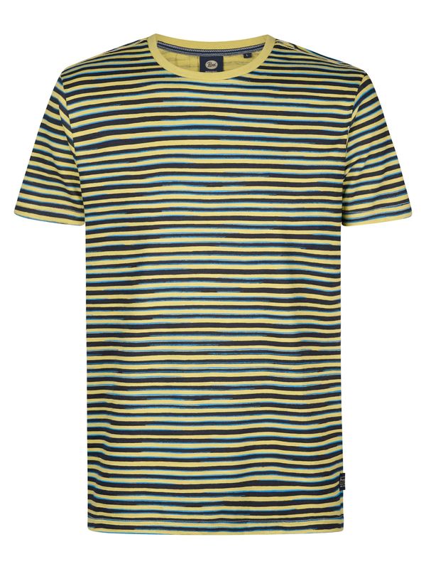 Petrol Industries Petrol Industries Majica 'Anchorview'  pastelno zelena