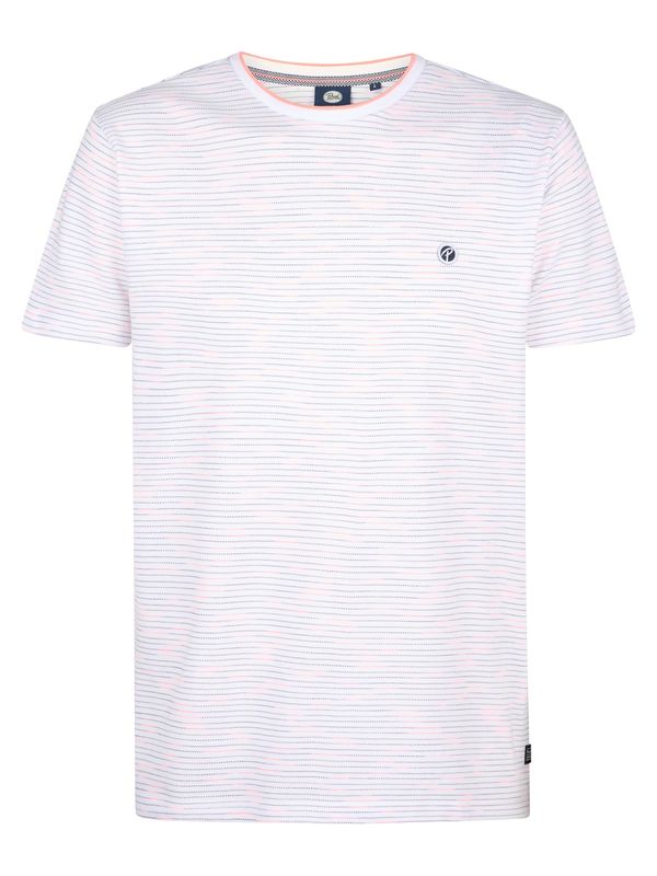 Petrol Industries Petrol Industries Majica 'Cactus'  siva / črna / bela