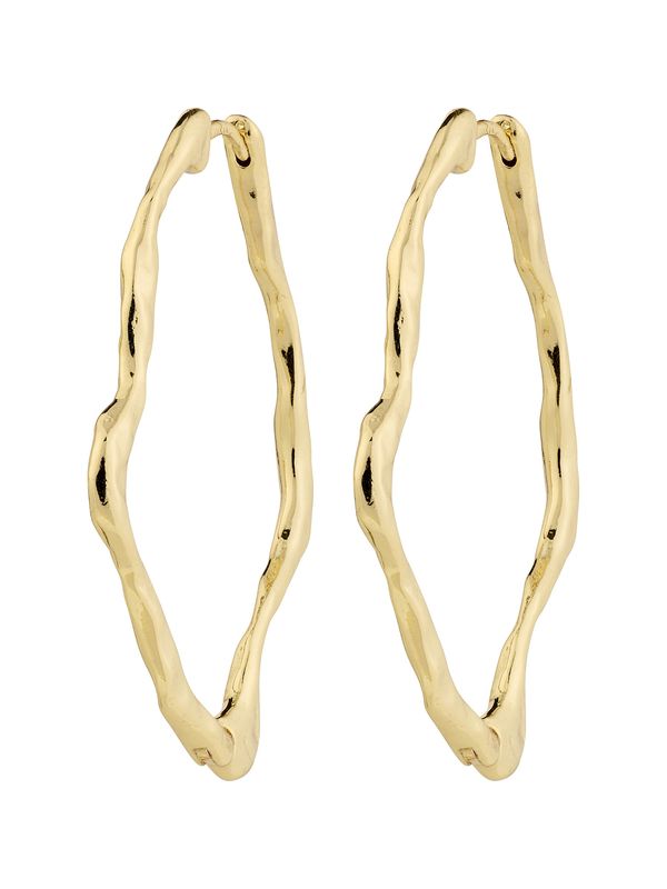 Pilgrim Pilgrim Uhani ' Dylan '  zlata