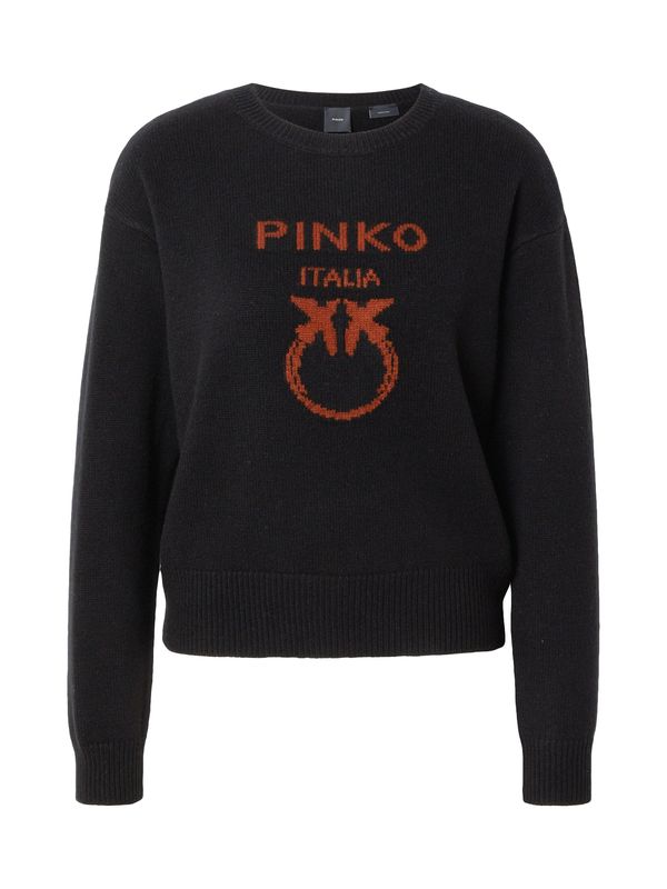 PINKO PINKO Pulover 'BURGOS'  rjava / črna