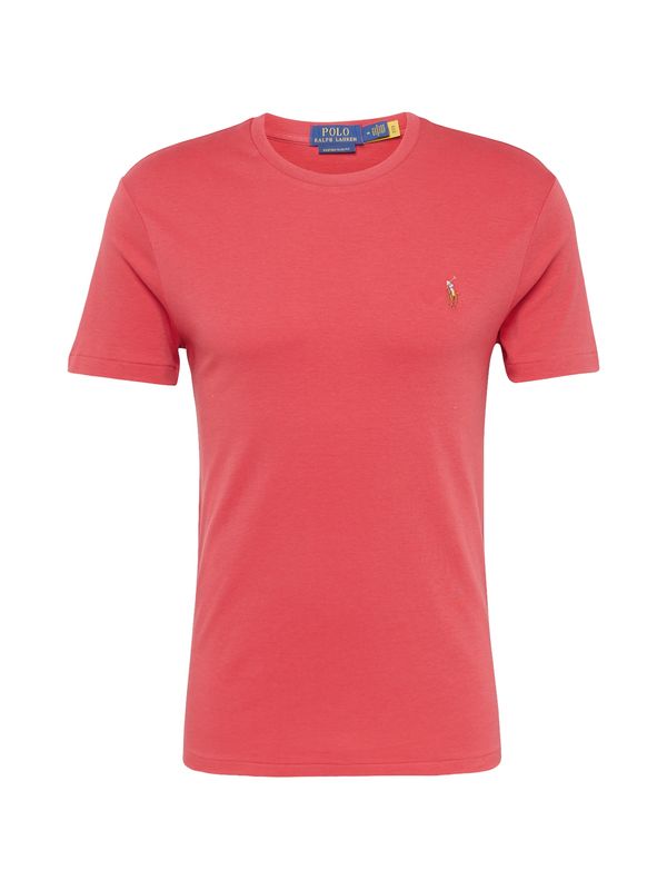 Polo Ralph Lauren Polo Ralph Lauren Majica  svetlo modra / rjava / melona / bela