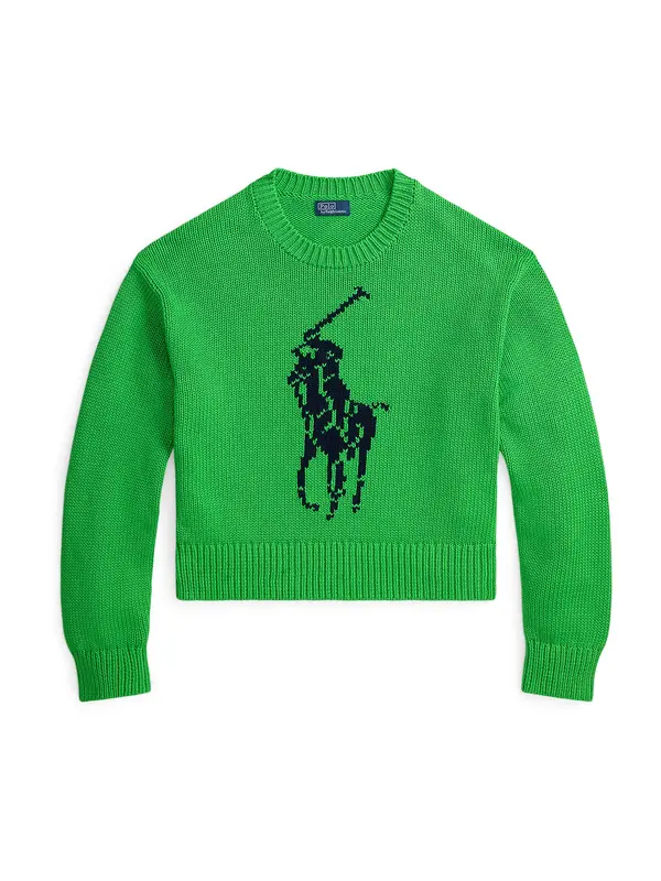 Polo Ralph Lauren Polo Ralph Lauren Pulover  mornarska / zelena