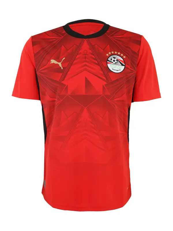 PUMA PUMA Dres 'EFA Home'  rdeča / temno rdeča / črna / bela