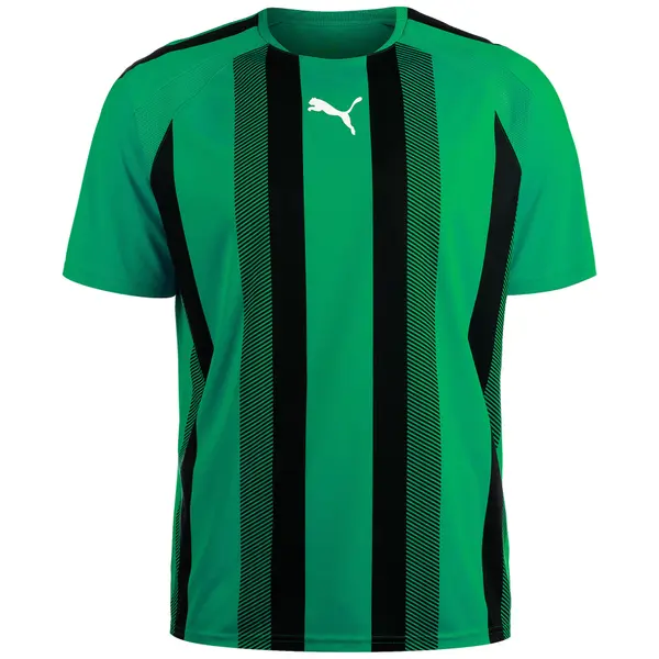 PUMA PUMA Dres 'Team Liga'  smaragd / črna / bela
