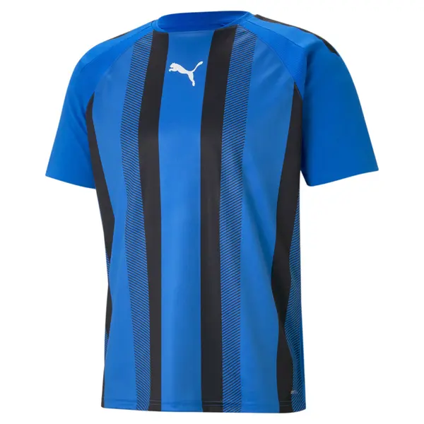 PUMA PUMA Dres 'TeamLiga'  kraljevo modra / črna / bela