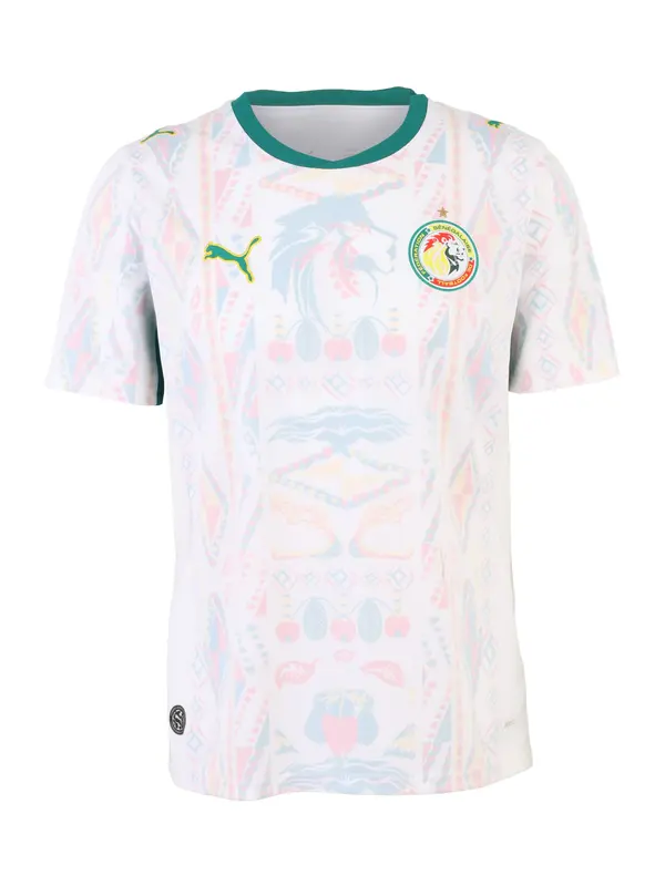PUMA PUMA Funkcionalna majica 'Senegal 2026'  nebeško modra / travnato zelena / roza / bela