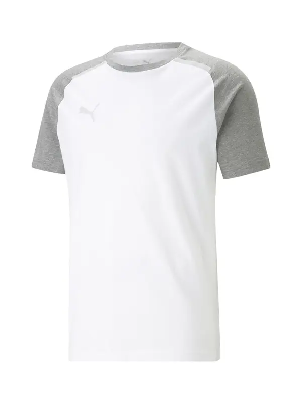 PUMA PUMA Funkcionalna majica 'Team Cup'  pegasto siva / bela