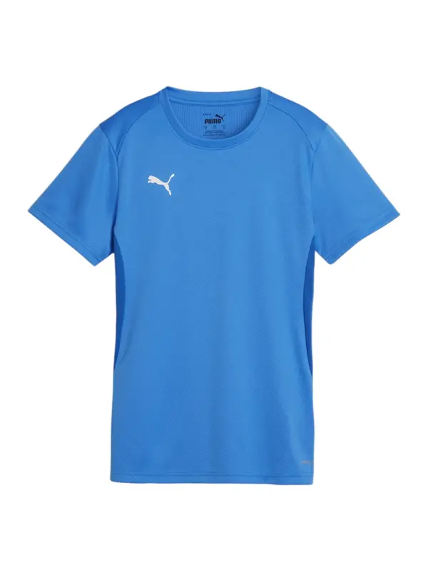 PUMA PUMA Funkcionalna majica 'Team Goal'  modra / bela