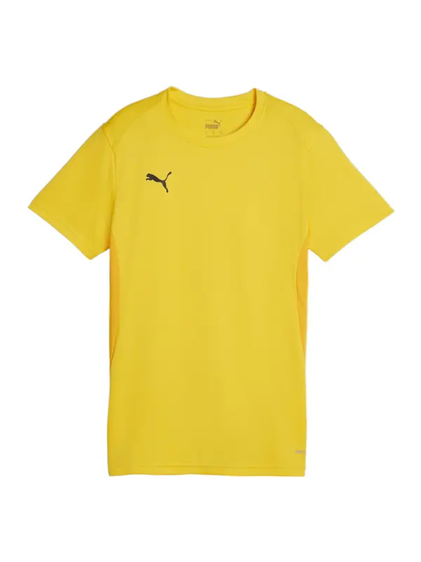 PUMA PUMA Funkcionalna majica 'Team Goal'  rumena