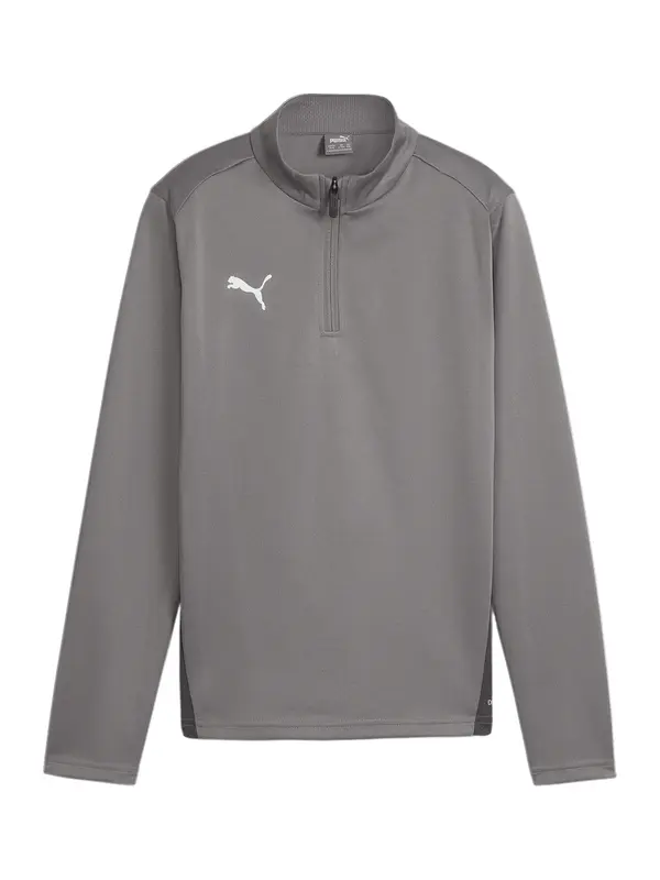 PUMA PUMA Funkcionalna majica 'Team Goal'  siva
