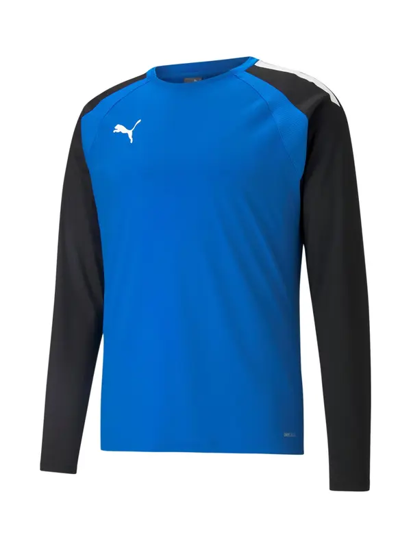 PUMA PUMA Funkcionalna majica 'Team Liga'  modra / črna