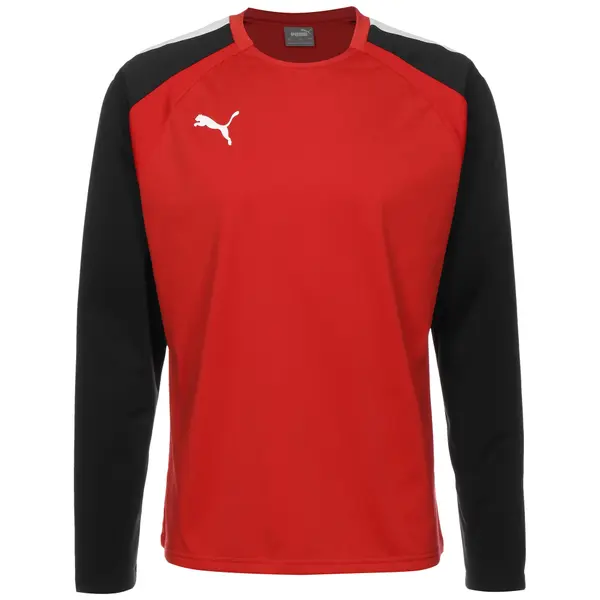 PUMA PUMA Funkcionalna majica 'Team Liga'  rdeča / črna