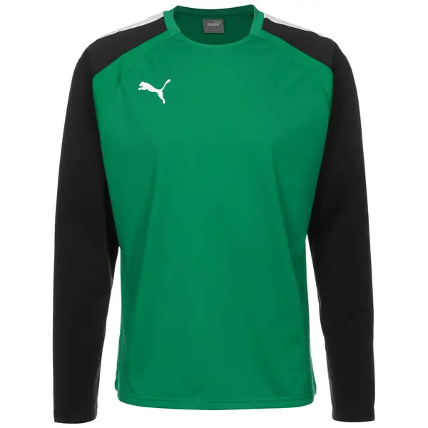 PUMA PUMA Funkcionalna majica 'Team Liga'  zelena / črna / bela