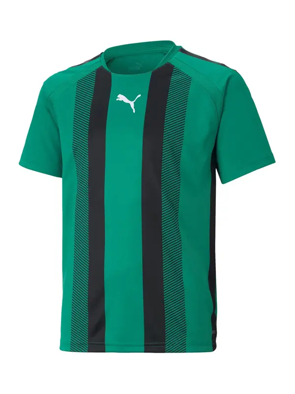 PUMA PUMA Funkcionalna majica 'Team Liga'  zelena / črna / bela