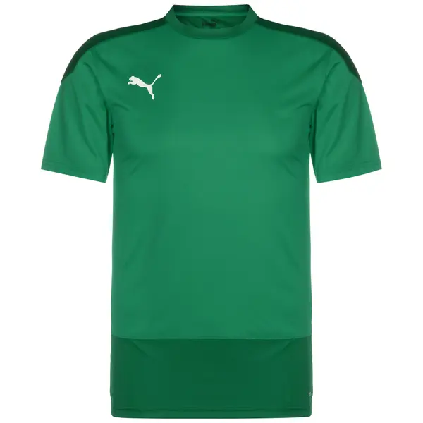 PUMA PUMA Funkcionalna majica 'TeamGoal 23'  zelena / temno zelena