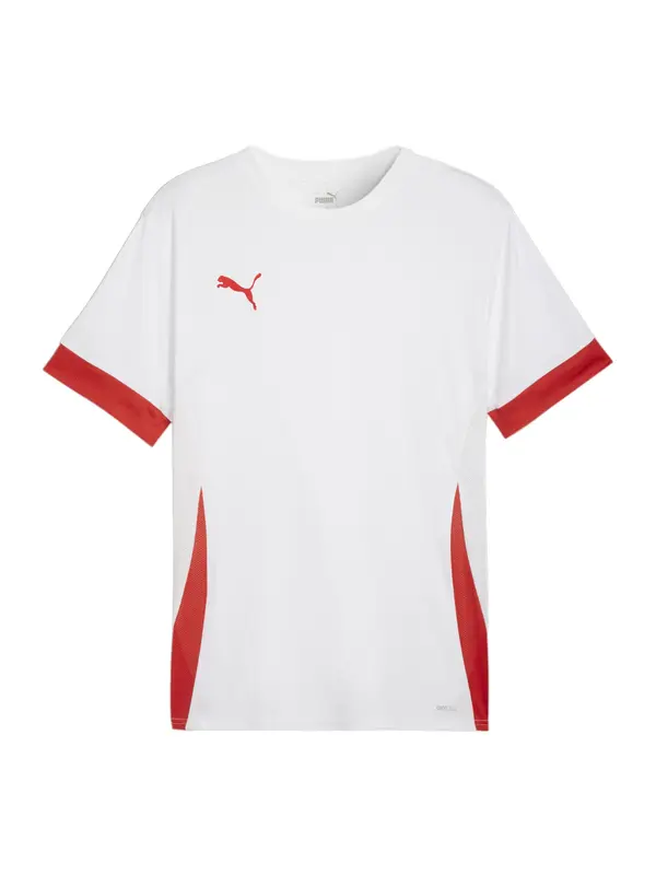 PUMA PUMA Funkcionalna majica 'TeamGoal Matchday'  rdeča / bela