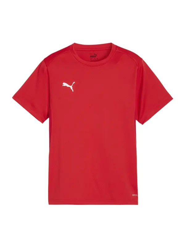 PUMA PUMA Funkcionalna majica 'TeamGoal'  rdeča / bela
