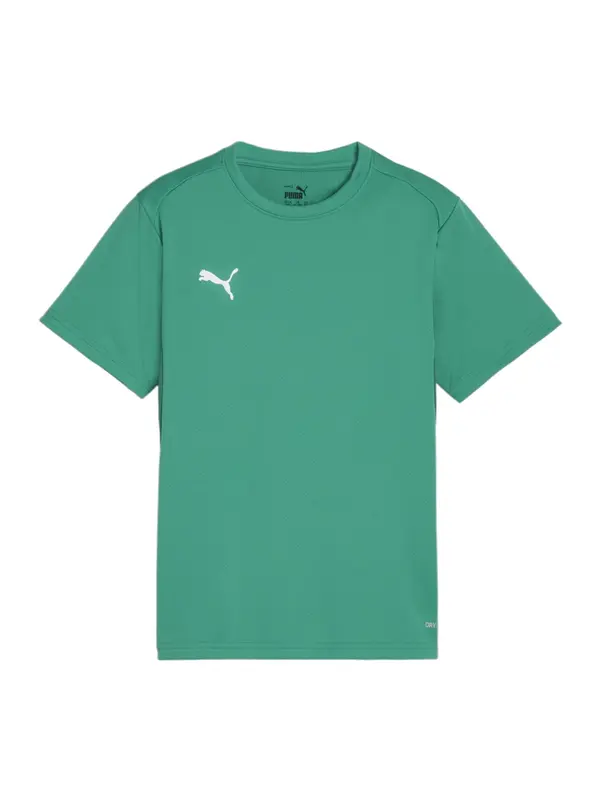 PUMA PUMA Funkcionalna majica 'TeamGoal'  zelena / bela