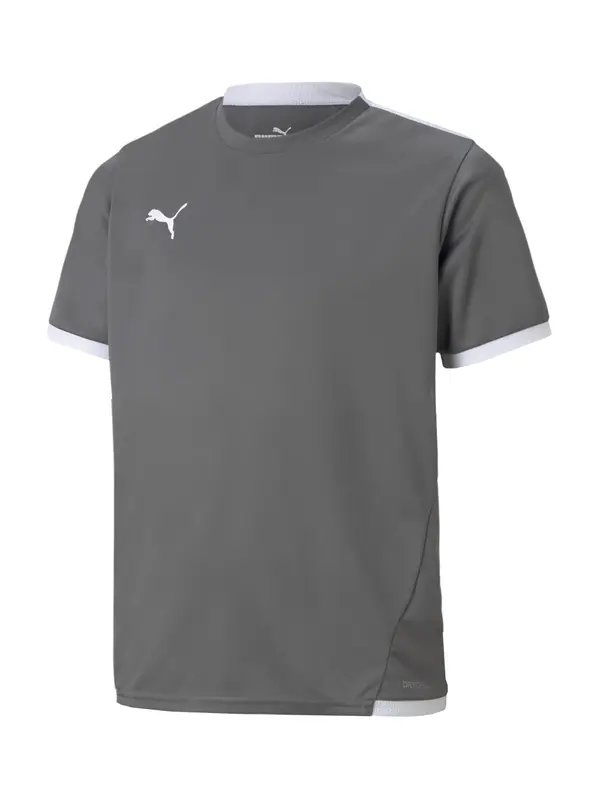 PUMA PUMA Funkcionalna majica 'TeamLiga'  bazaltno siva / bela