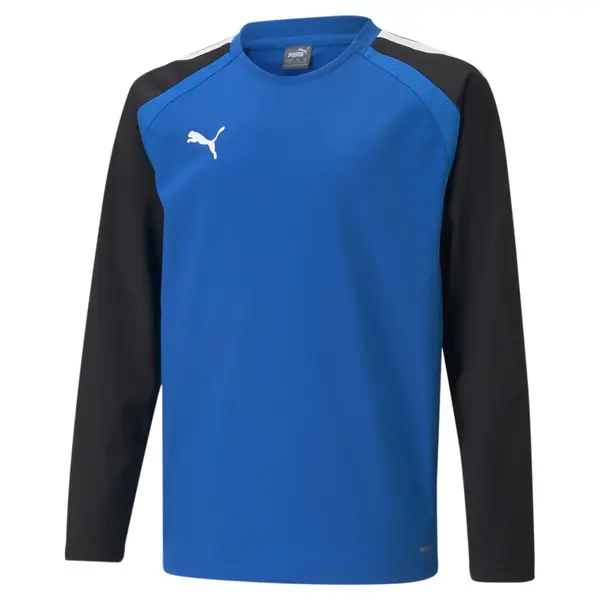 PUMA PUMA Funkcionalna majica 'TeamLiga'  modra / črna