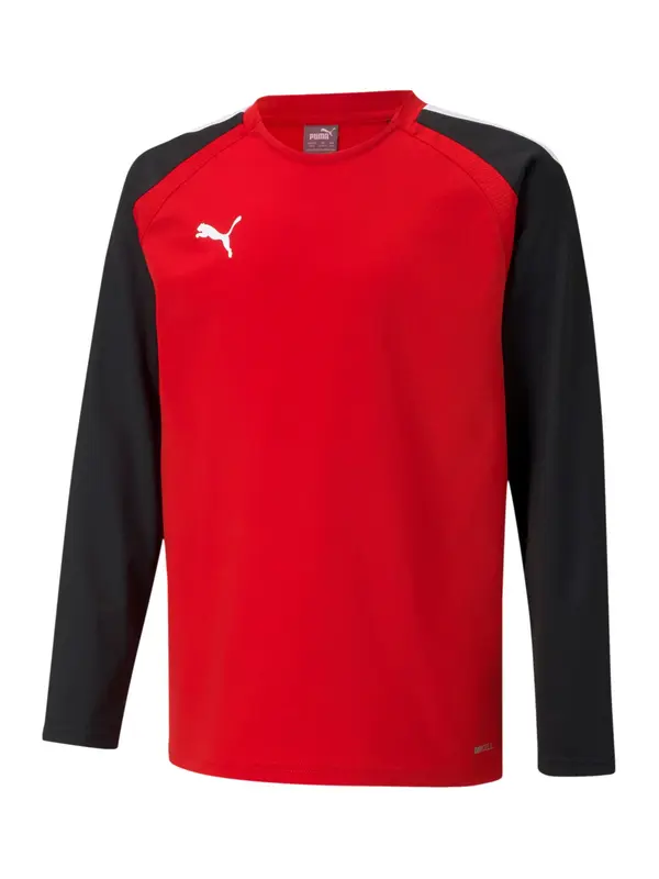PUMA PUMA Funkcionalna majica 'TeamLiga'  rdeča / črna / bela