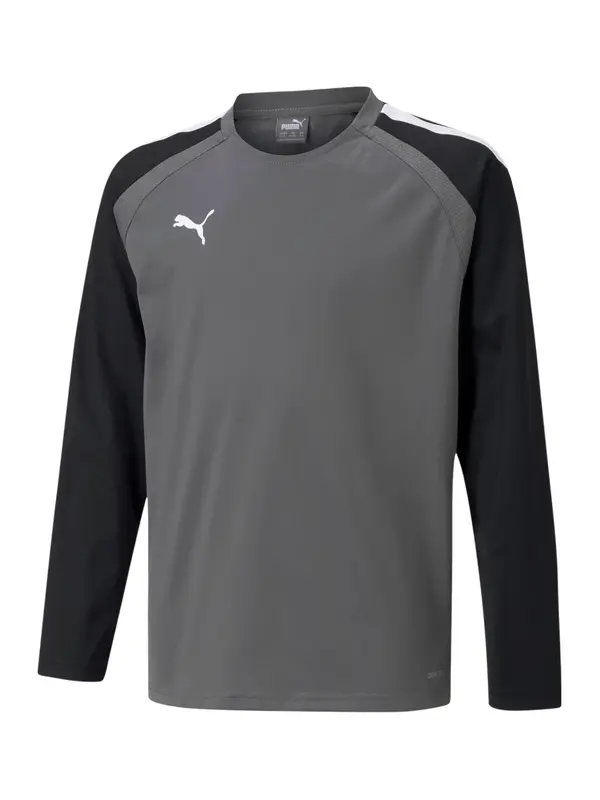 PUMA PUMA Funkcionalna majica 'TeamLiga'  siva / črna / bela