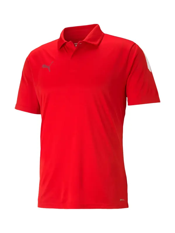 PUMA PUMA Funkcionalna majica 'TeamLiga'  siva / rdeča / bela