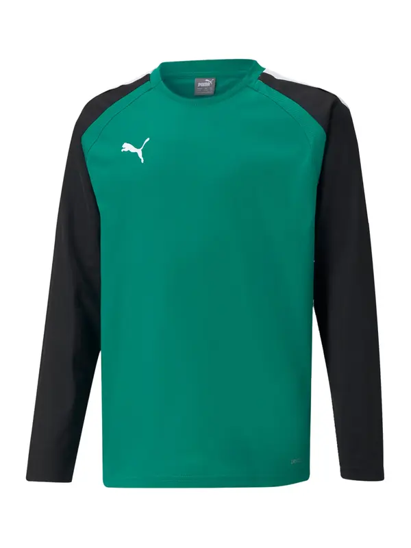 PUMA PUMA Funkcionalna majica 'TeamLiga'  smaragd / črna / bela