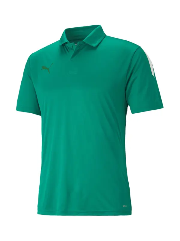 PUMA PUMA Funkcionalna majica 'TeamLiga'  travnato zelena / temno zelena / bela