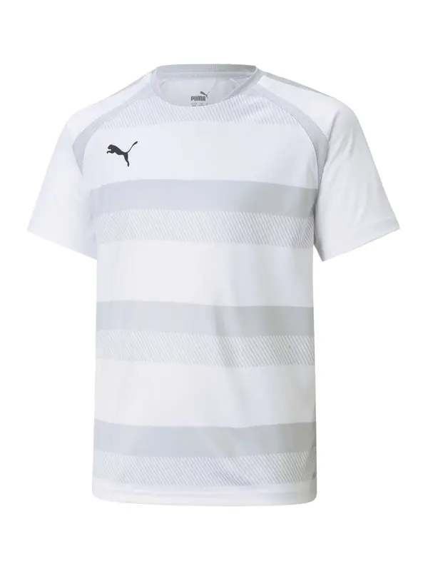 PUMA PUMA Funkcionalna majica 'TeamVision'  siva / greige / svetlo siva / črna