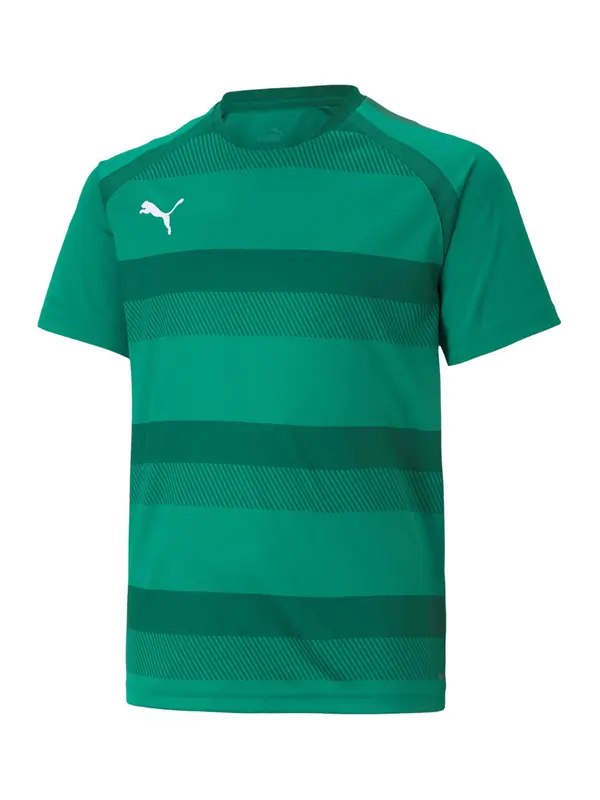 PUMA PUMA Funkcionalna majica 'TeamVision'  zelena / temno zelena / bela