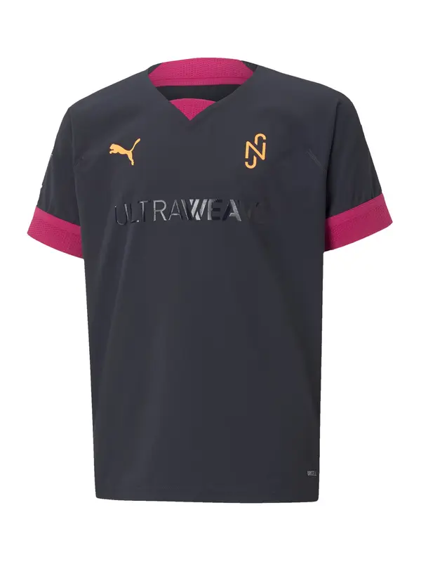 PUMA PUMA Funkcionalna majica  temno rumena / vinsko rdeča / črna