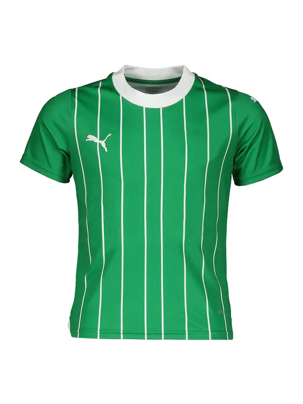 PUMA PUMA Funkcionalna majica  zelena / bela