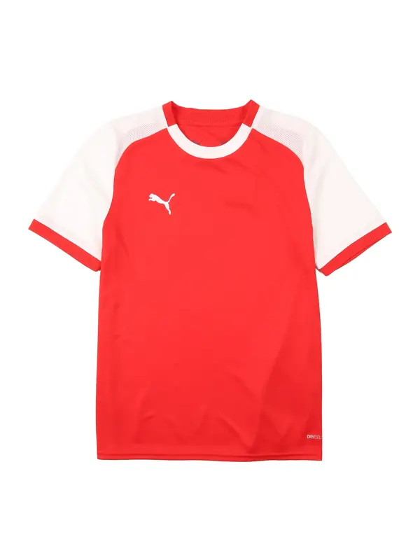 PUMA PUMA Majica 'TeamLIGA26 Matchday'  rdeča / bela