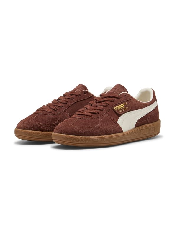 PUMA PUMA Nizke superge 'Palermo'  čokolada / bela