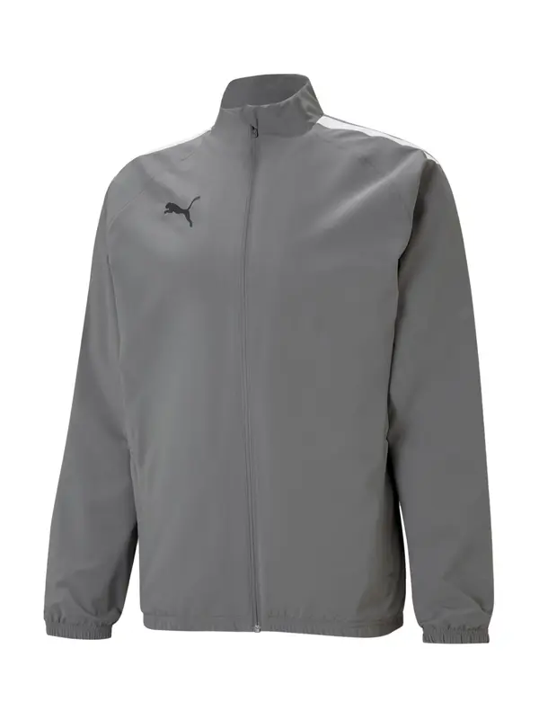 PUMA PUMA Športna jakna 'Team Liga'  siva / črna