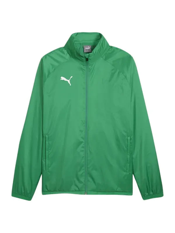 PUMA PUMA Športna jakna 'TeamGoal'  zelena / bela
