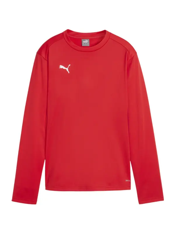 PUMA PUMA Športna majica 'TeamGoal'  rdeča / bela