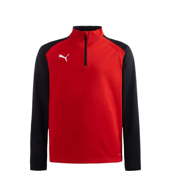 PUMA PUMA Športna majica 'TeamLiga 14'  rdeča / črna