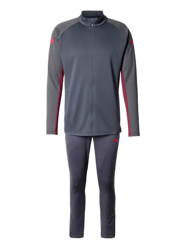 PUMA PUMA Športna obleka 'IndividualLIGA'  marine / grafit / krvavo rdeča