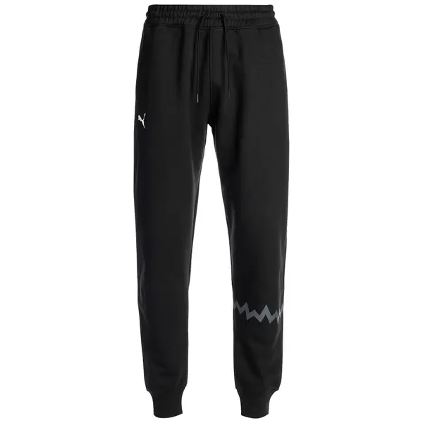 PUMA PUMA Športne hlače 'Hoops Team'  siva / črna