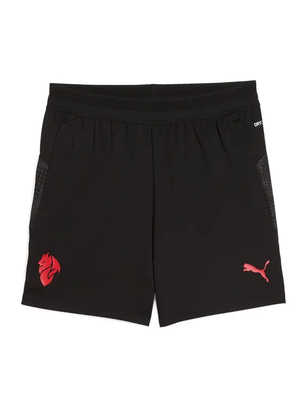 PUMA PUMA Športne hlače  rdeča / črna