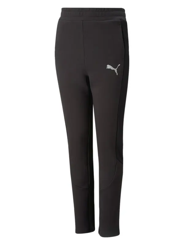 PUMA PUMA Športne hlače  siva / črna