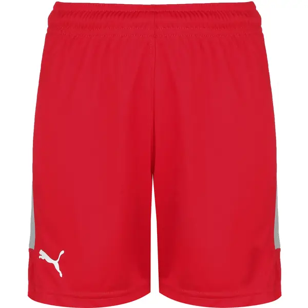 PUMA PUMA Športne hlače  siva / rdeča / bela