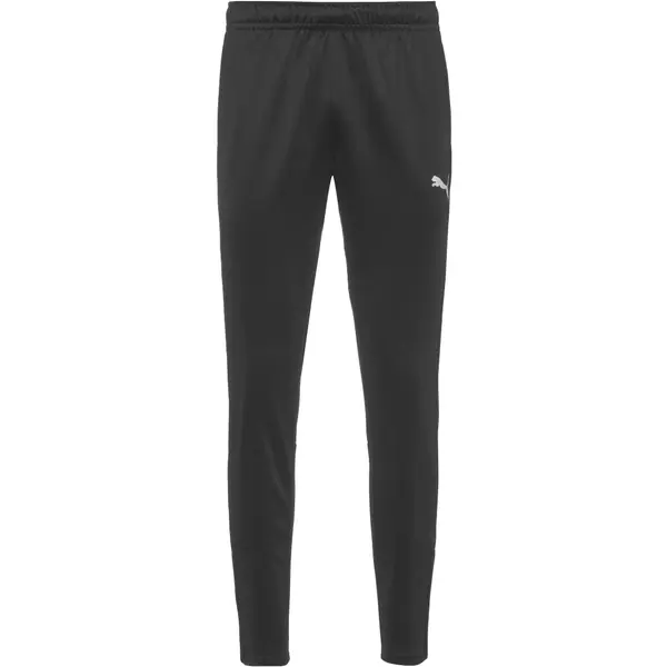 PUMA PUMA Športne hlače 'Team Goal'  siva / črna