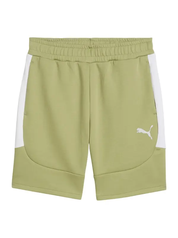 PUMA PUMA Športne hlače 'TeamEvostripe'  oliva / bela