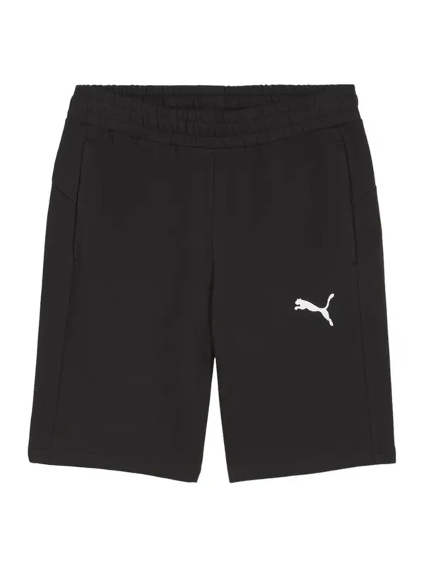 PUMA PUMA Športne hlače 'TeamGOAL'  črna / bela