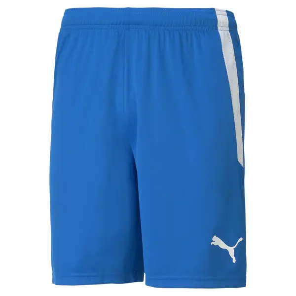 PUMA PUMA Športne hlače 'TeamLIGA'  kraljevo modra / bela