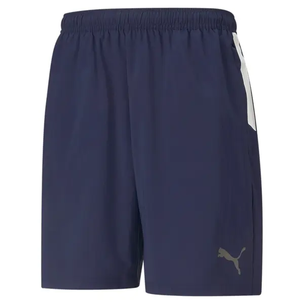 PUMA PUMA Športne hlače 'TeamLiga'  marine / siva / bela
